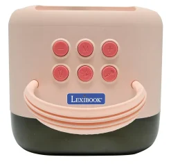 Karaoke Bluetooth Rose avec 2 micros sans fil