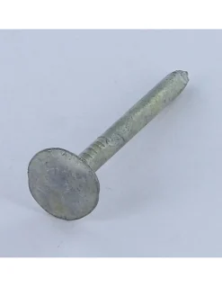 Kg de pointes ARDOISE Tête extra large TEL 3X30 Diamètre de tête: 12 Forte tenue à la corrosion Acier galvanisé - 1 pièce