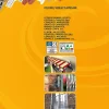 Kit de scellement FIS P 300 T Fischer