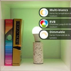 KOZii - Pack de 2 Ampoules LED connectées A60, culot E27, RVB avec télécommande connectée - KPACK2EE806GRVBCCT