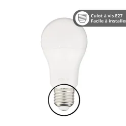 KOZii - Pack de 2 Ampoules LED connectées A60, culot E27, CCT avec prise connectée - KPACK2EE806GCCTPR