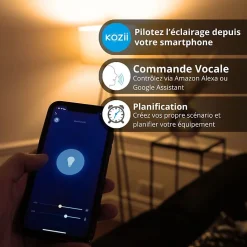 KOZii - Pack de 2 Ampoules LED connectées A60, culot E27, CCT avec prise connectée - KPACK2EE806GCCTPR
