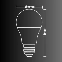 KOZii - Pack de 2 Ampoules LED connectées A60, culot E27, CCT avec prise connectée - KPACK2EE806GCCTPR
