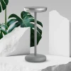 Lampe de table à accu PASI intérieur extérieur métal plastique gris intensité variable tactile fonction mémoire hauteur 26cm