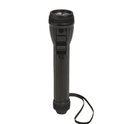 Lampe torche LED 27 lumens Diall noir