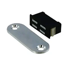 Loqueteau clipsable 2 kg noir Diall vendu par 2