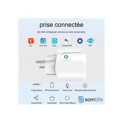 Lot 2 prises connectées SomLife application tuya smart life controle de consomation Compatible avec Alexa/Google Home