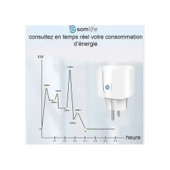 Lot 2 prises connectées SomLife application tuya smart life controle de consomation Compatible avec Alexa/Google Home