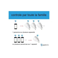 Lot 2 prises connectées SomLife application tuya smart life controle de consomation Compatible avec Alexa/Google Home