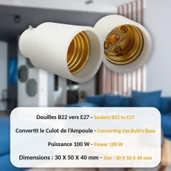 Lot de 2 Adaptateur de Douille FISHTEC B22 vers E27