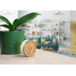 Lot de 2 Carillons et 2 boutons sans fil sans pile Bamboo