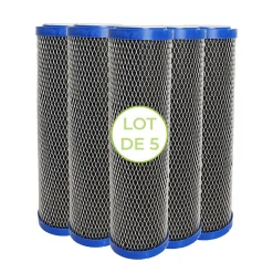 Lot de 5 Cartouches 2 en 1 Filtre à Eau 9 pouces 3/4 - Anti sédiments + Charbon actif 5 microns Fabriqué en France