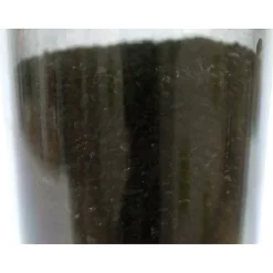 Lot de 5 Cartouches au Charbon Actif 9 pouces 3/4 - Elimination du Chlore / Mauvais Goût et Odeurs pour l'Eau de Boisson
