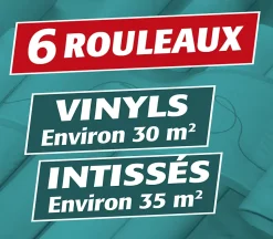 Lot de 3 Colle en Poudre pour Papiers Peints Vinyls et Intissés Semin, Boite de 300 g