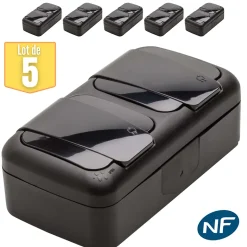 Lot de 5 double prise 2P+T étanche IP54- Viko by Panasonic - Noir - NF