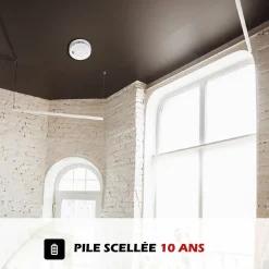Lot de 2 Détecteur de fumée connecté WIFI CE EN14604 Pile 10 ans scellée et Kits de fixation magnétique