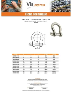Manille LYRE Forgée Inox A4 Diamètre 12 - 3 pièces