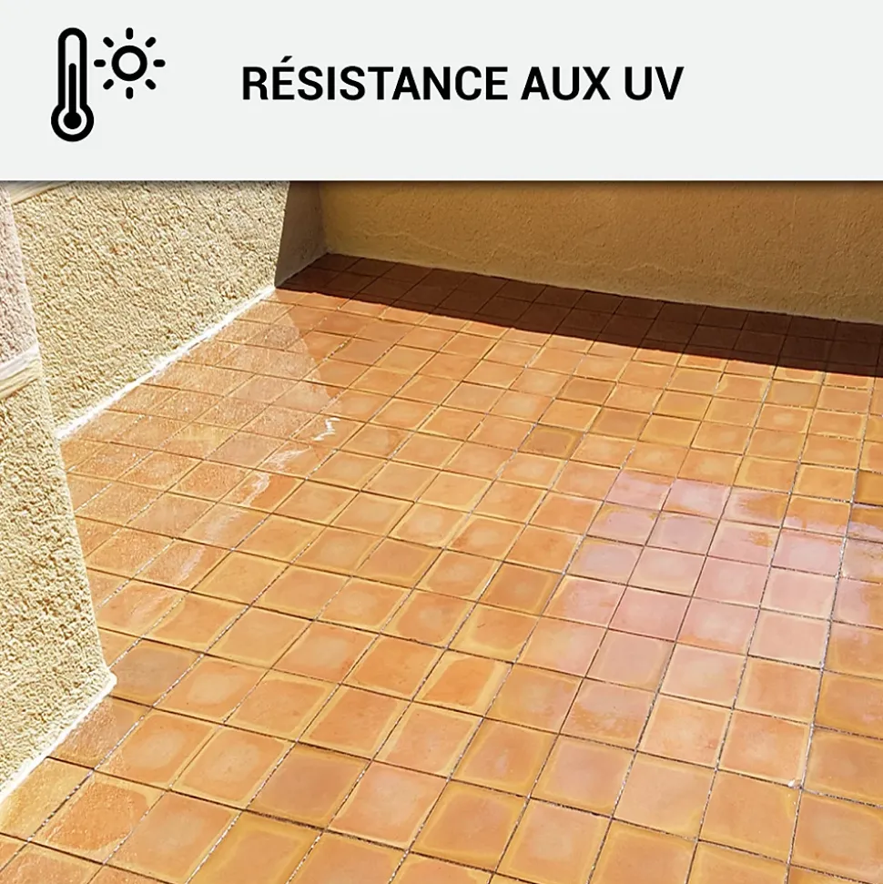 Mastic Colle MS Polymère, étanchéité des sols et murs : ARCAMASTIC POLYMÈRE Transparent - 290 ml x 1 - ARCANE INDUSTRIES