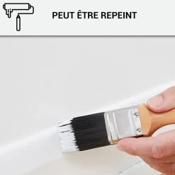 Mastic Colle MS Polymère, étanchéité des sols et murs : ARCAMASTIC POLYMÈRE Transparent - 290 ml x 1 - ARCANE INDUSTRIES