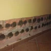 Mortier sec anti-sel (5 kg). Crée une couche isolante sur le mur qui empêche l'apparition de taches de sel causées par l'humidité