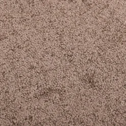 Paillasson Marron 40x60 cm vidaXL