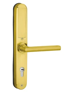 Paire de poignées connectées Intelock Multi, pour porte d'entrée, entr'axes 70mm, dorée - INTELOCK