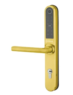 Paire de poignées connectées Intelock Multi, pour porte d'entrée, entr'axes 70mm, dorée - INTELOCK