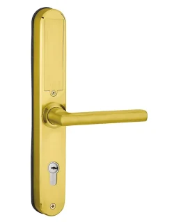 Paire de poignées connectées Intelock Multi, pour porte d'entrée, entr'axes 85mm, doré - INTELOCK