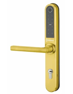 Paire de poignées connectées Intelock Multi, pour porte d'entrée, entr'axes 85mm, doré - INTELOCK