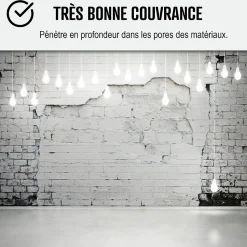 Peinture anti humidité mur humide salle de bain - ARCASCREEN - 10 L (jusqu'à 40 m²) - ARCANE INDUSTRIES