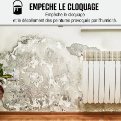 Peinture anti humidité mur humide salle de bain - ARCASCREEN - 10 L (jusqu'à 40 m²) - ARCANE INDUSTRIES