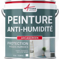 Peinture anti humidité mur humide salle de bain - ARCASCREEN - 2.5 L (jusqu'à 10 m²) - ARCANE INDUSTRIES