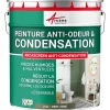 Peinture anti-condensation, anti odeur pour pièces humides Vert jonc - RAL 6013 - 2.5 L - ARCANE INDUSTRIES