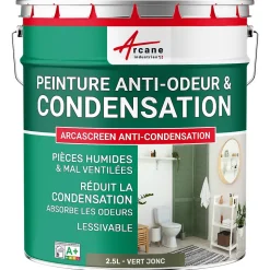 Peinture anti-condensation, anti odeur pour pièces humides Vert jonc - RAL 6013 - 2.5 L - ARCANE INDUSTRIES