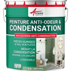 Peinture anti-condensation, anti odeur pour pièces humides Vert Pâle - RAL 6021 - 2.5 L - ARCANE INDUSTRIES
