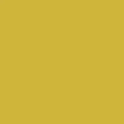Peinture anti-condensation, anti odeur pour pièces humides Jaune citron - RAL 1012 - 2.5 L - ARCANE INDUSTRIES
