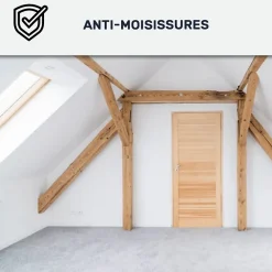Peinture anti-condensation, anti odeur pour pièces humides Vert jonc - RAL 6013 - 10 L - ARCANE INDUSTRIES