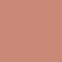 Peinture anti-condensation, anti odeur pour pièces humides Rouge beige - RAL 3012 - 2.5 L - ARCANE INDUSTRIES