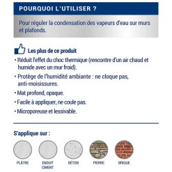 Peinture anti-condensation intérieur mat blanc Ripolin 2,5L