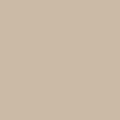 Peinture anti-humidité intérieur satin lin Ripolin 0,75L