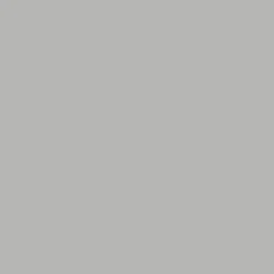 Peinture anti-humidité intérieur satin gris souris Ripolin 0,75L