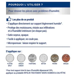 Peinture anti-humidité intérieur satin gris souris Ripolin 2,5L