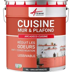Peinture cuisine lavable, mur et plafond Gris Anthracite - RAL 7016 - 10 L - ARCANE INDUSTRIES