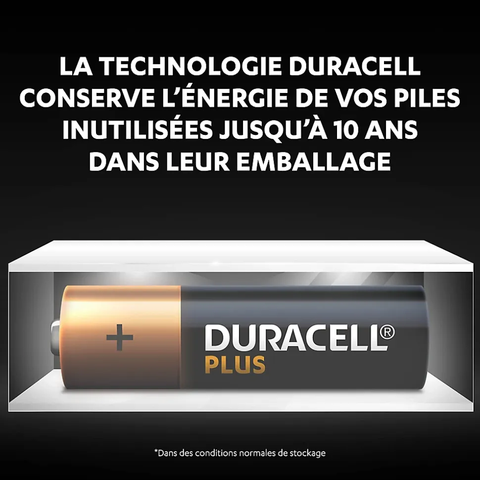 Pile alcaline AA (LR6) Duracell Plus, lot de 4