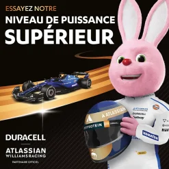Pile alcaline AA (LR6) Duracell Plus Power Boost, lot de 12