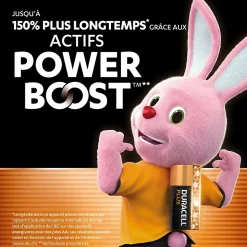 Pile alcaline AA (LR6) Duracell Plus Power Boost, lot de 12