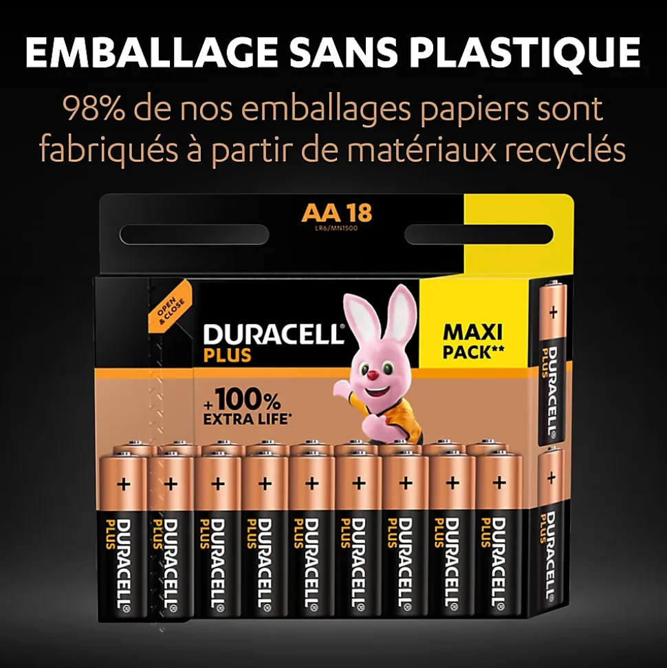 Pile alcaline AA (LR6) Duracell Plus, lot de 18