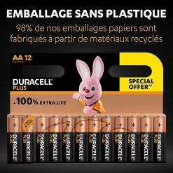 Pile alcaline AA (LR6) Duracell Plus, lot de 12