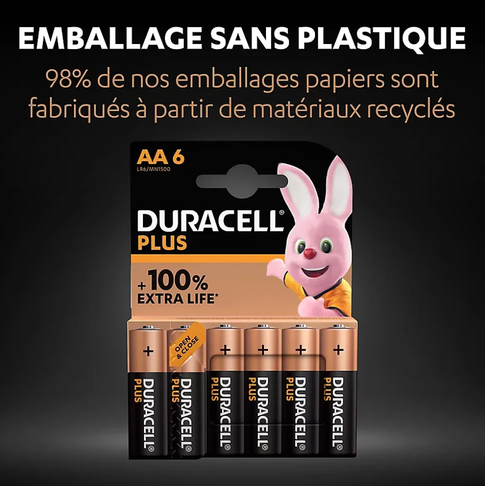 Pile alcaline AA (LR6) Duracell Plus, lot de 6