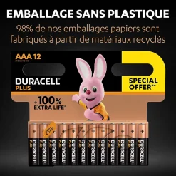 Pile alcaline AAA (LR03) Duracell Plus non rechargeable, lot de 12